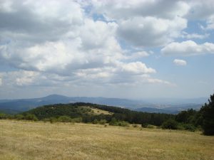 Nachmittags: Die baumlose Weite des Monte Calvano