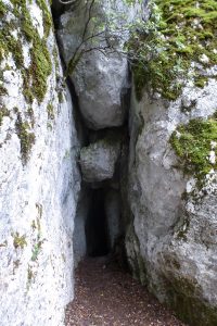 In der Felshöhle, einige Minuten von der Romita entfernt, betete Franziskus. 